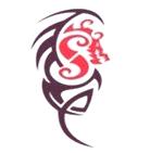 Adhesivo.para.motos.6