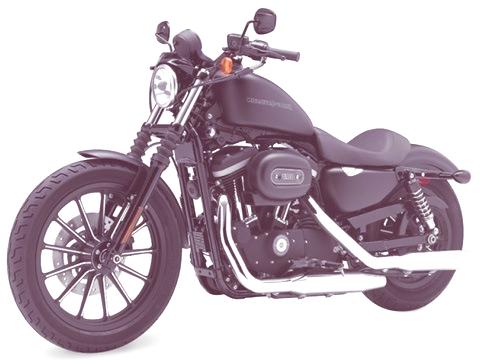 HarleyDavidsonIron88320091
